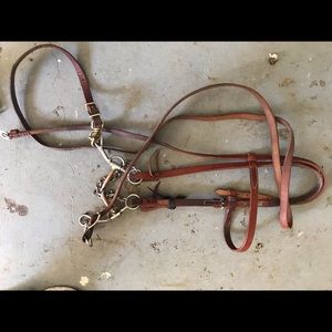 Basic wester headstall